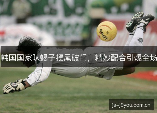 韩国国家队蝎子摆尾破门，精妙配合引爆全场